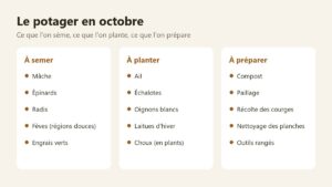 Ce que l'on sème, plante et prépare au potager en octobre